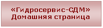 Надпись: «Гидросервис-СДМ»
Домашняя страница