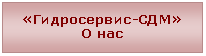 Надпись: «Гидросервис-СДМ»
О нас